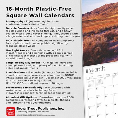 2025 BrownTrout Utah Wild & Scenic 12" x 12" Monthly Wall Calendar (9781975475826)