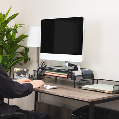Mind Reader Monitor Stand with Paper Tray, Metal, Black (MESHMONSTA-BLK)