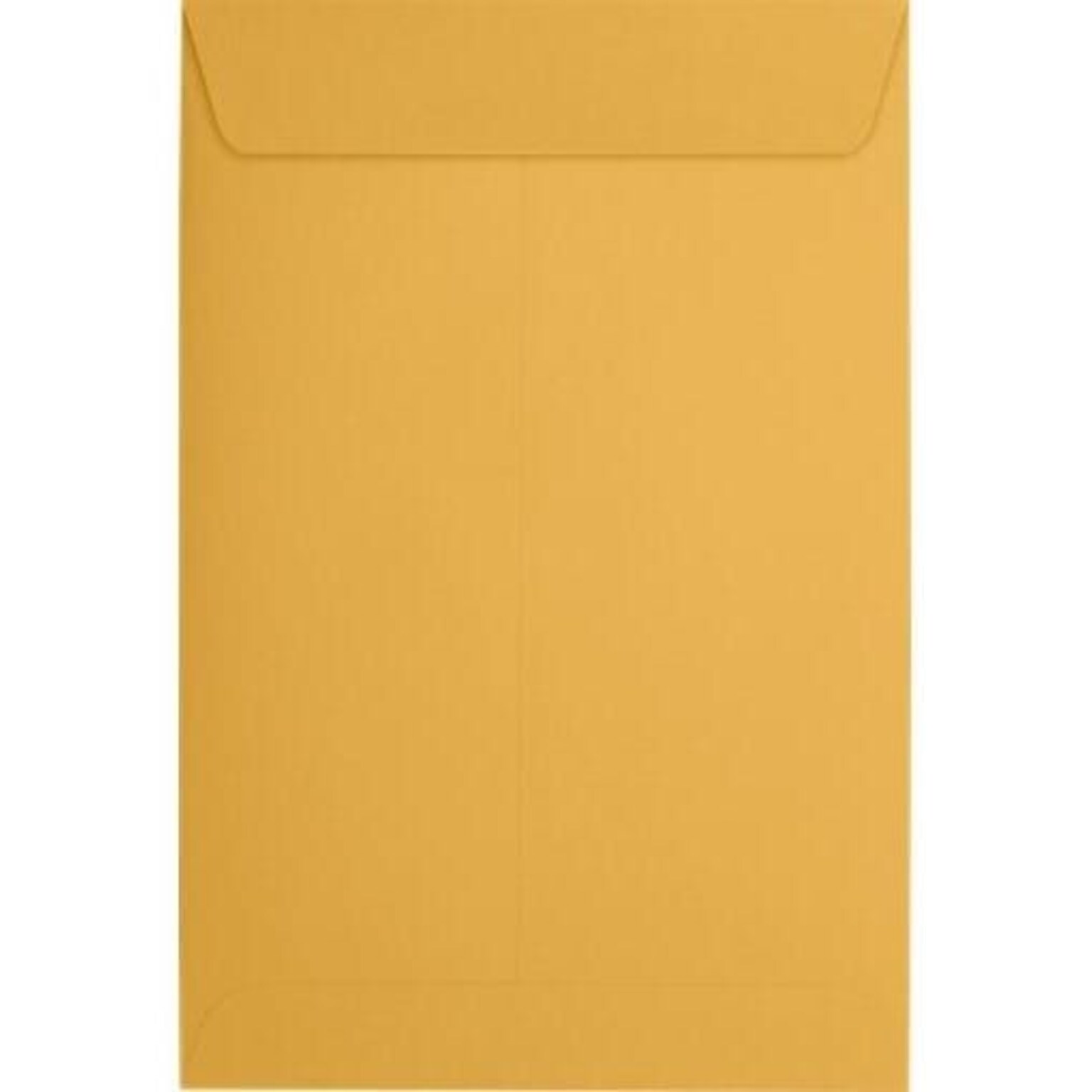 JAM Paper Catalog Envelope, 6 x 9, Brown Kraft Manila, 50/Pack (1693i)