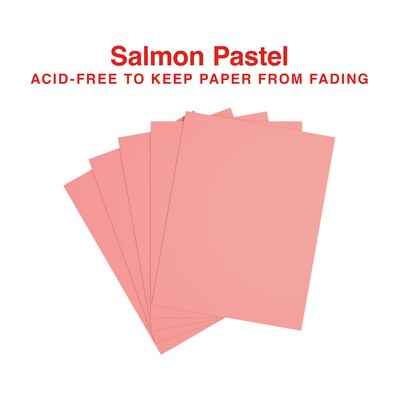 Staples® Pastel Multipurpose Paper, 20 lbs., 8.5" x 11", Salmon, 500/Ream (14783)