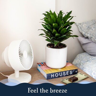 Windmill Oscillating Desk Fan, 5-Speed, Black (FC07W5)
