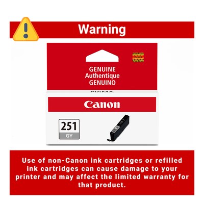 Canon 251 Gray Standard Yield Ink Cartridge  (6517B001)