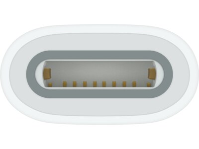 Apple USB-C to Apple Pencil Adapter, Female (MWML3AM/A)
