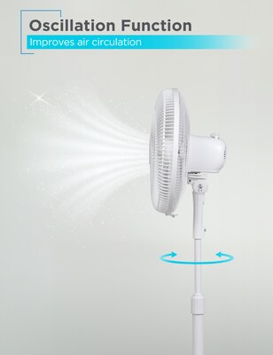 Black & Decker 16" Oscillating Pedestal Fan, 3-Speed, White (BFP16MXW)