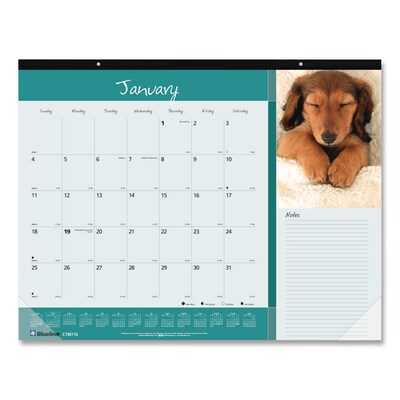2026 Blueline Pets Collection 22 x 17 Monthly Desk Pad Calendar (REDC194116)