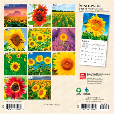 2026 BrownTrout Sunflowers 7 x 7 Monthly Wall Calendar (9798330705689)