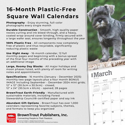2025 BrownTrout Schnauzer Puppies 12" x 12" Monthly  Wall Calendar (9781975475666)