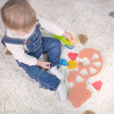 MINILAND Feel to Learn: Translucent Colorful Lizard, Multicolored (MLE97343)