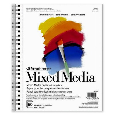 Strathmore 200 Series 9 x 12 Mixed Media Sketch Pad, 60 Sheets/Pad, 2/Bundle (STTP22409-2)