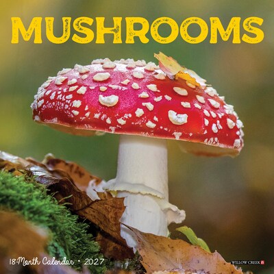 2027 Willow Creek Mushrooms 7 x 7 Monthly Wall Calendar, Assorted Colors (64092)