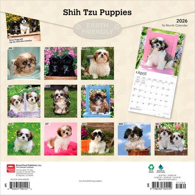 2026 BrownTrout Shih Tzu Puppies 12 x 12 Monthly Wall Calendar (9798330705559)