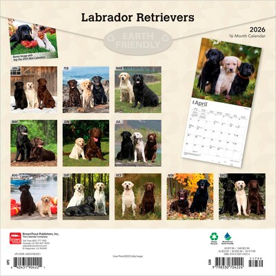 2026 BrownTrout Labrador Retrievers 12 x 12 Monthly Wall Calendar (9798330704224)