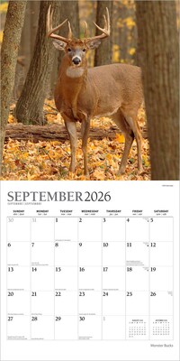 2026 Plato Monster Bucks 12" x 12" Monthly Wall Calendar (9798330706884)