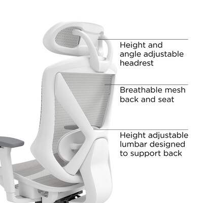 Staples Dexley Ergonomic Mesh Swivel Task Chair, Gray (UN61365)