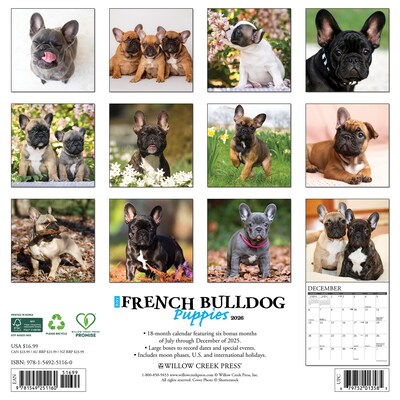 2026 Willow Creek French Bulldog Puppies 12 x 12 Monthly Wall Calendar (51160)
