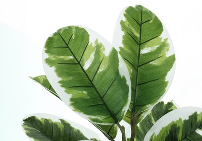 Monarch Specialties Inc. 27" Artificial Rubber Plant in Pot (I 9572)
