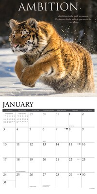 2027 Willow Creek Motivationals 12" x 12" Monthly Wall Calendar, Assorted Colors (61336)