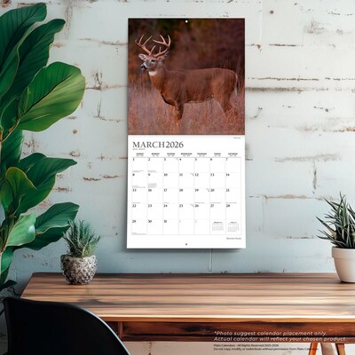 2026 Plato Monster Bucks 12" x 12" Monthly Wall Calendar (9798330706884)