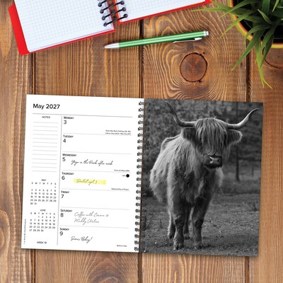 2027 Willow Creek Highland Cows 6.5" x 8.5" Weekly & Monthly Desk Calendar (64412)