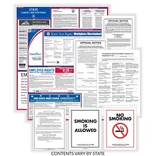 ComplyRight Federal, State and Public Sector (English) Labor Law Poster Set, Illinois (EFEDSTCRPSECI