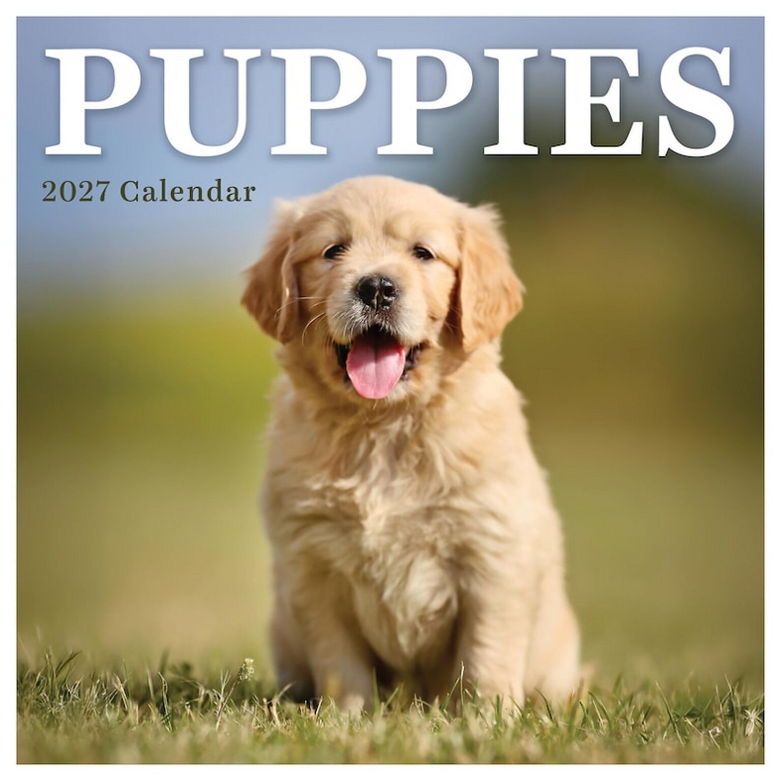 2027 TF Publishing Puppies 7 x 7 Monthly Wall Calendar, Multicolored (27-2007)