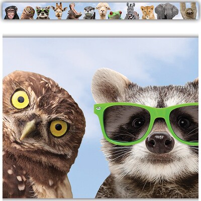 Teacher Created Resources Go Wild Animals Straight Border Trim, 3" x 2.92', Multicolor, 6 Packs/Bundle (TCR6848-6)