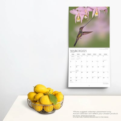 2025 Plato Hummingbirds 12" x 12" Monthly Wall Calendar (9781975479015)