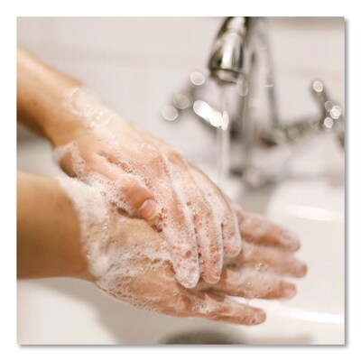 Dial Antibacterial Gold Liquid Hand Soap Refill for Versa Dispenser, Floral Scent, 15 oz., 6/Carton (DIA98561)