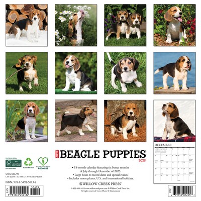 2026 Willow Creek Beagle Puppies 12 x 12 Monthly Wall Calendar (50132)