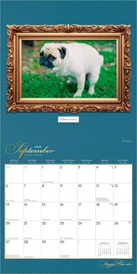 2026 BrownTrout Doggie Doo Doo 12" x 24" Monthly Wall Calendar (9798330703166)