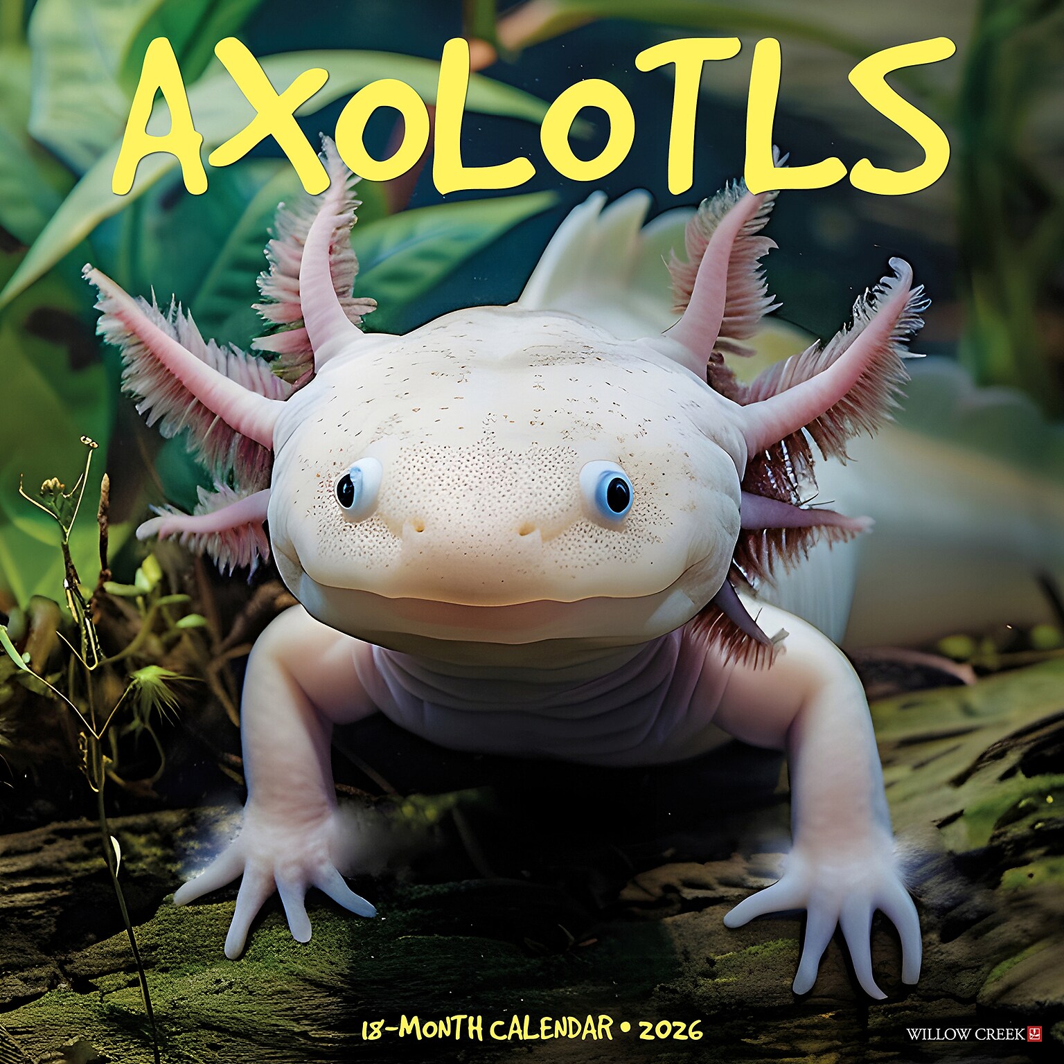 2026 Willow Creek Axolotls 12 x 12 Monthly Wall Calendar (49990)