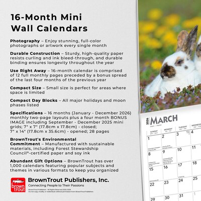 2026 BrownTrout Honey Bunny 7" x 7" Monthly Wall Calendar (9798330703647)