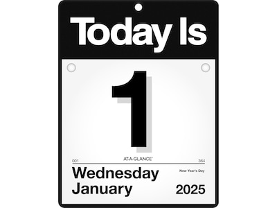 2025 AT-A-GLANCE Today Is 9.5 x 12 Daily Wall Calendar, White/Black (K4-00-25)