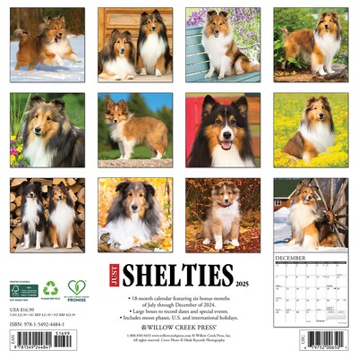 2025 Willow Creek Just Shelties 12 x 12 Monthly Wall Calendar (44841)