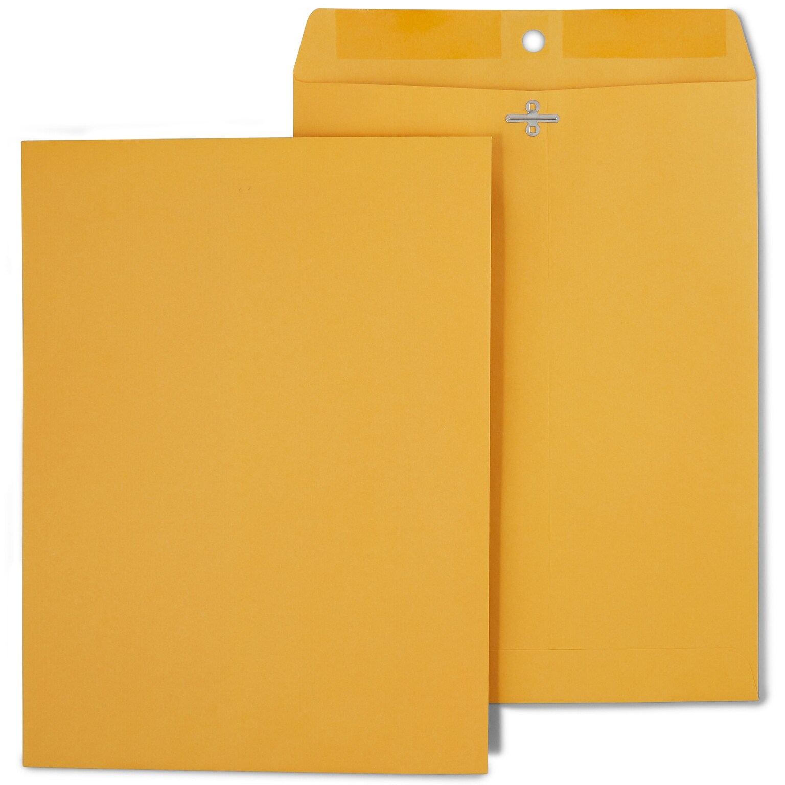 Staples Clasp Close Kraft Catalog Envelopes, 9L x 12H, Brown, 250/Box (487493/17242)