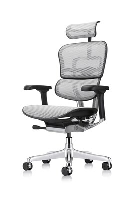 Eurotech Ergohuman Gen2 High Back Mesh Office Chair w/ Headrest, Gray (ME7ERG-GEN2-GRY)
