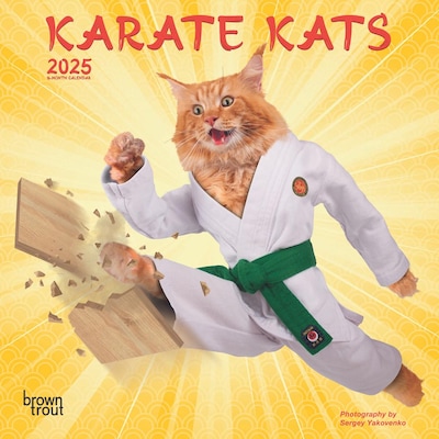 2025 BrownTrout Karate Cats 7 x 14 Monthly Mini Wall Calendar, (9781975479541)