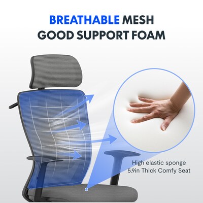 FlexiSpot Ergonomic Mesh Swivel Computer and Desk Chair, Gray (C3G-FM)
