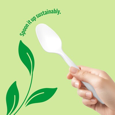 Perk™ Eco Compostable PLA Spoon, Medium-Weight, White, 300/Pack (PK56203)
