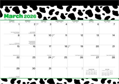 2026 Plato Cow Prints 15.5 x 11 Monthly Desk Pad Calendar (9798330700066)