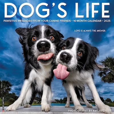 2025 Willow Creek Dogs Life 12 x 12 Monthly Wall Calendar (42731)