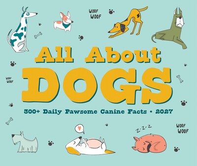 2027 Willow Creek All About Dogs 6.2" x 5.4" Daily Day-to-Day Calendar, Assorted Colors (64955)