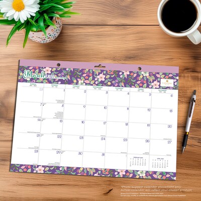 2027 BrownTrout House of Turnowsky 17" x 12" Monthly Desk Pad Calendar, Assorted Colors (9798330713448)