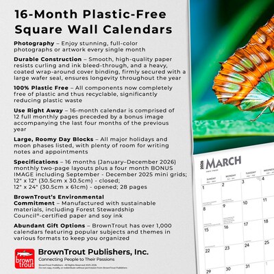 2026 BrownTrout Butterflies 12" x 12" Monthly Wall Calendar (9798330702695)