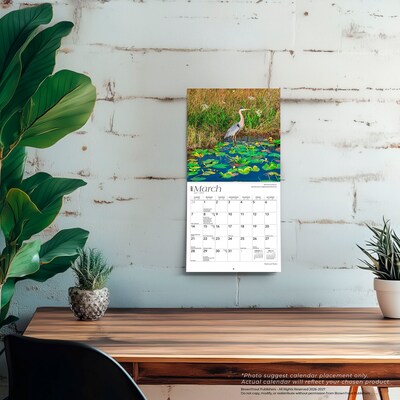 2027 BrownTrout National Parks 7" x 7" Monthly Wall Calendar (9798330709533)