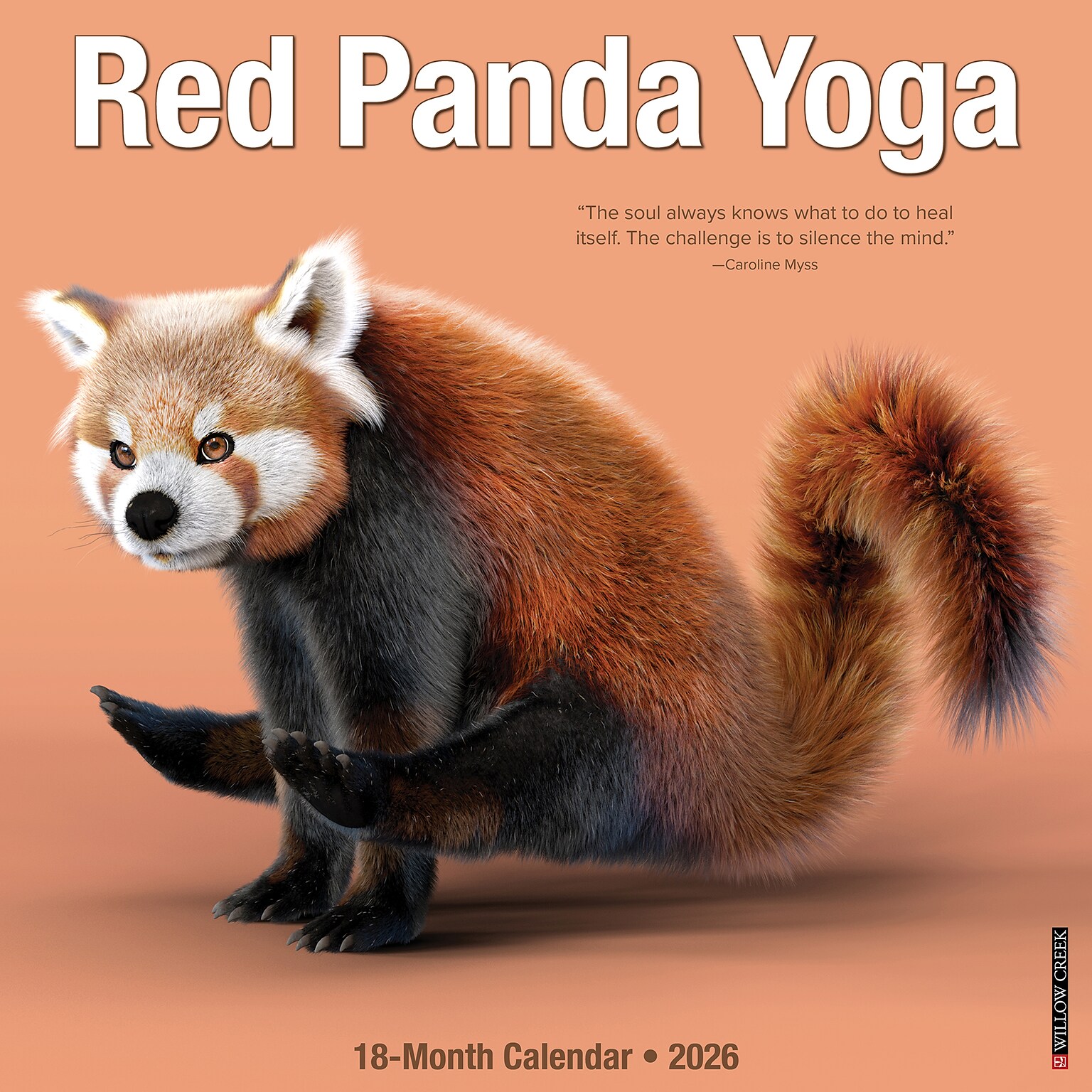 2026 Willow Creek Red Panda Yoga 12 x 12 Monthly Wall Calendar (56073)