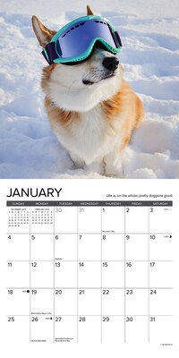 2026 Willow Creek What Dogs Teach Us 7" x 7" Monthly Wall Calendar (53836X)