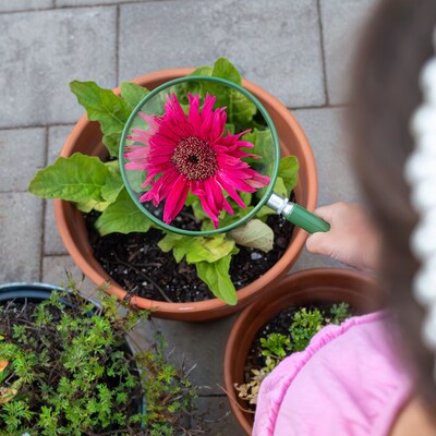 CARSON BigEye 2x Round Handheld Magnifier & BugLoupe 4.5x Stand Magnifier, 2/Pack (KITCSNMAG02)