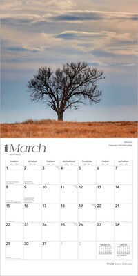 2026 BrownTrout Colorado Wild & Scenic 12" x 12" Monthly Wall Calendar (9798330703005)
