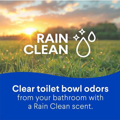 Clorox Disinfecting Toilet Bowl Cleaner with Bleach, Rain Clean Scent, 24 Oz., 2/Pack (30924)